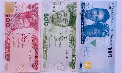 Group wants FG to resolve fuel, naira challenges ahead of polls