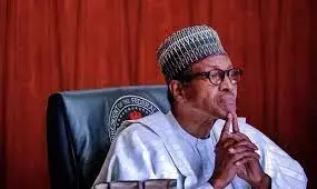 How Buhari used diplomacy to end Boko Haram – Onyema