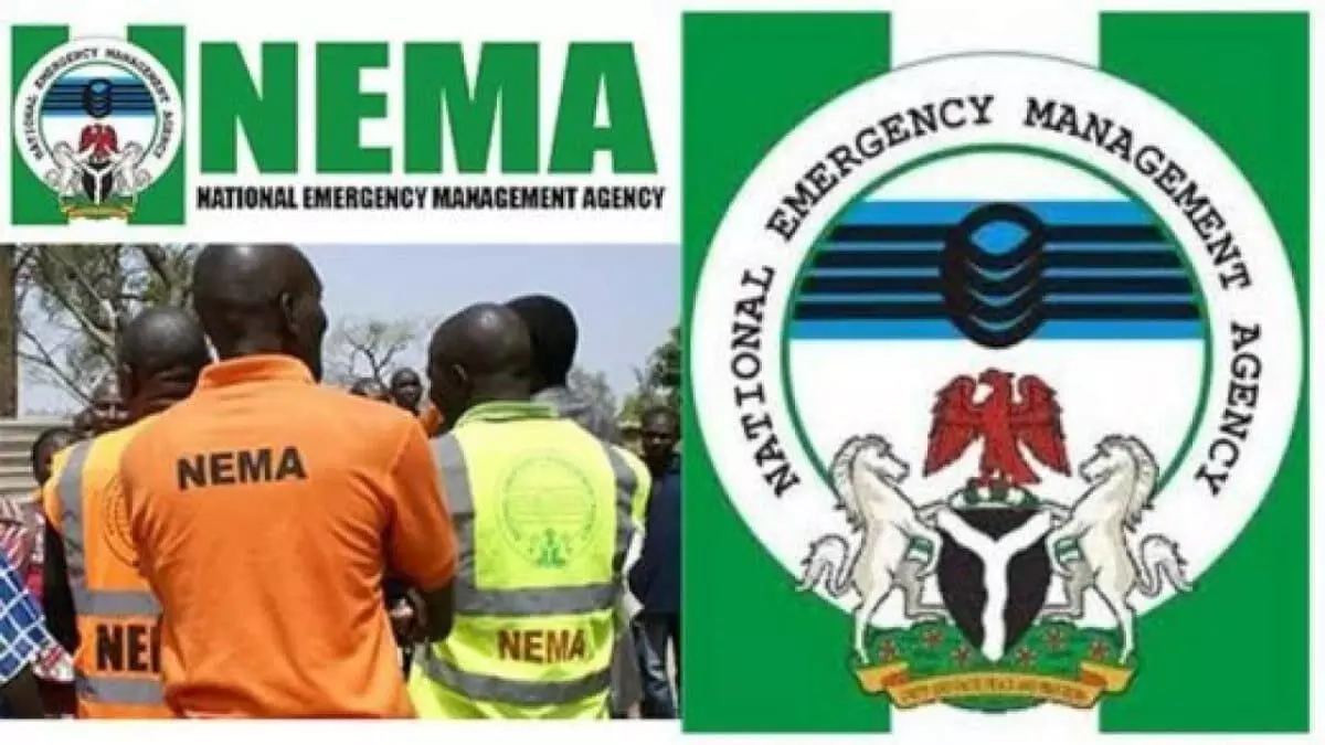 NEMA welcomes 1,003 Nigerian returnees from Niger Republic, Libya