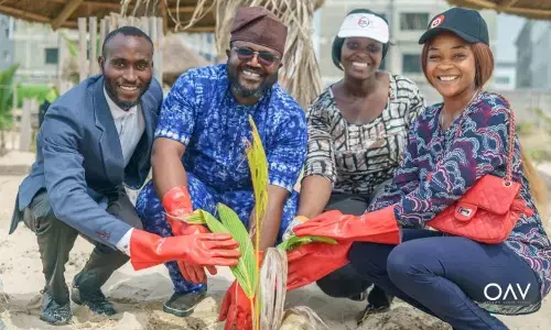 Group partners British Commission on tree planting in Lagos