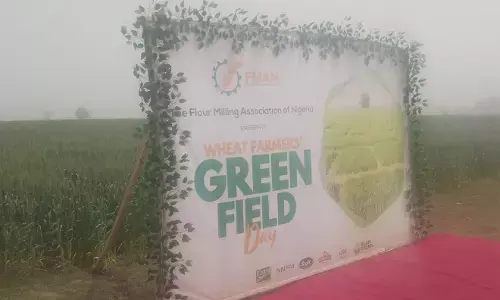 Flour millers to cultivate wheat on 4,000 hectares