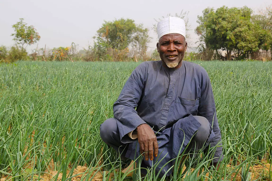 We earn millions of Naira from onion farming - Farmers