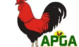 Guber Poll: We didn’t crash our structure for any party in Enugu – APGA
