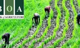 FG launches agri-preneurship for serving, pre-retiring public officers