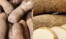 Experts say mechanisation will improve yam quality as export crop Experts say mechanisation will improve yam quality as export crop