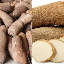 Experts say mechanisation will improve yam quality as export crop