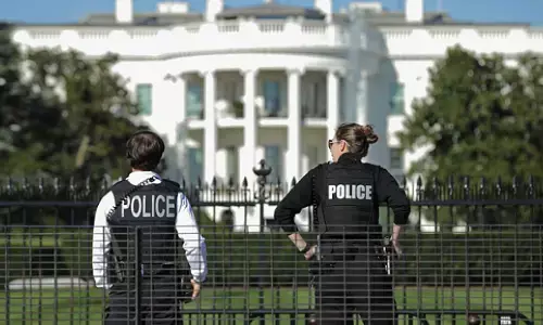 APC U.S. says White House protest should not bother Nigerians