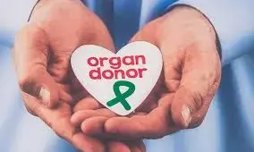 Organ donors in China exceed 6m