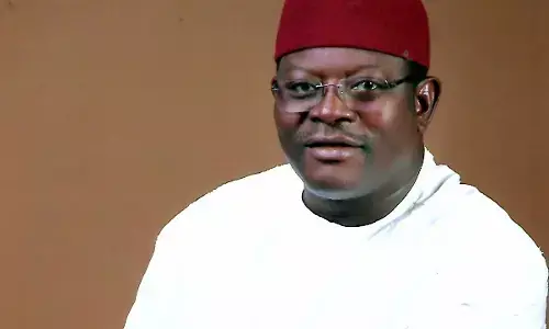 PDP senator says party deserved to lose 2023 general elections