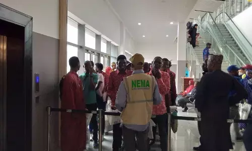 104 Nigerians trapped in Chad return home - NEMA