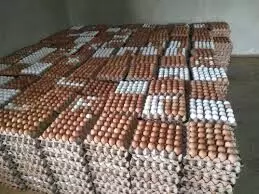 Egg glut: Lagos govt facilitates collect 300,000 eggs
