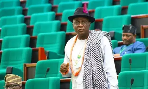 10th NASS: Delta Rep joins race for Deputy Speaker