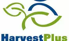 HarvestPlus engages 5,000 women to promote biofortified crops