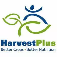 HarvestPlus engages 5,000 women to promote biofortified crops