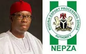 NEPZA eyes $22bn investment from Delta special economic zone