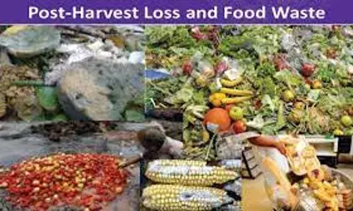 Expert recommends technology to reduce post-harvest losses