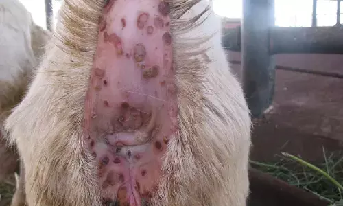 Case of sheep pox detected in eastern Mongolia Case of sheep pox detected in eastern Mongolia