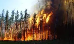 Canadian wildfires force evacuation of 29,000 people