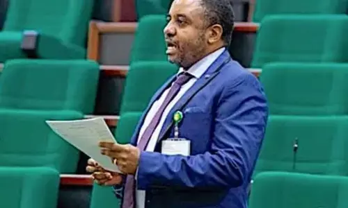 Group cautions NASS against alleged move to criminalise protests