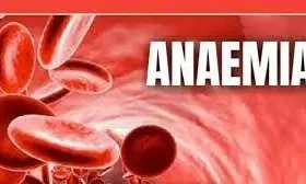 WHO urges accelerated action to combat anaemia