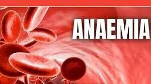 WHO urges accelerated action to combat anaemia
