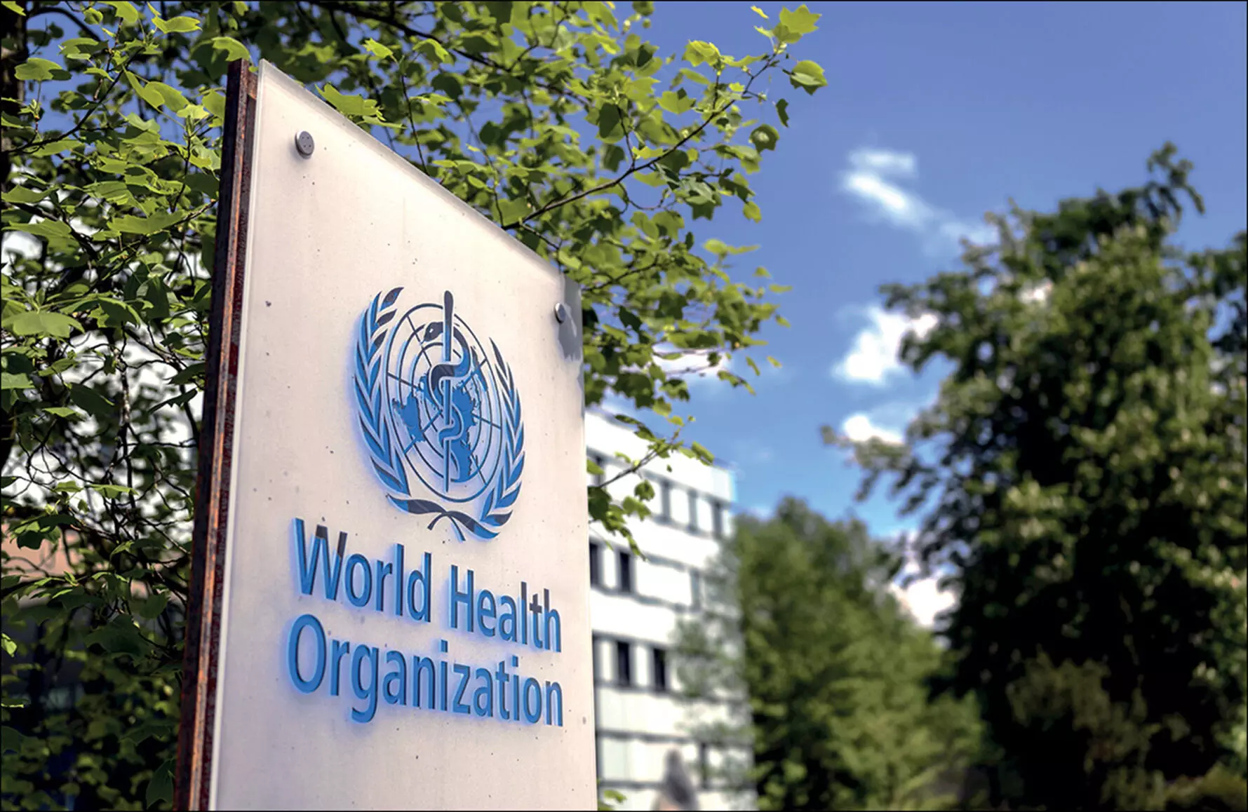1bn Nigerians, 42 countries at risk of cholera – UN agencies