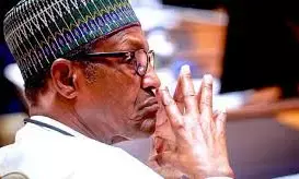 Niger Republic, others will stand by me if Nigeria disturbs me - Buhari