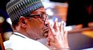 Niger Republic, others will stand by me if Nigeria disturbs me - Buhari