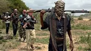 Gunmen kidnap another Catholic priest in Imo