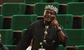 Lawmaker hails Tinubu for having political will to remove subsidy