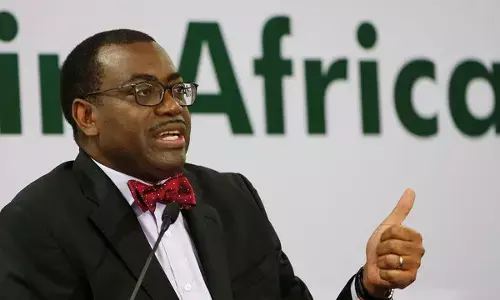 How Adesina transformed Nigerias agricultural sector as Minister - Agribusiness Expert