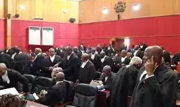 Broadcaster, Ijeoma Osamor appears before Presidential Election Petition Court