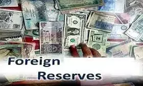 Experts propose measures to increase external reserves