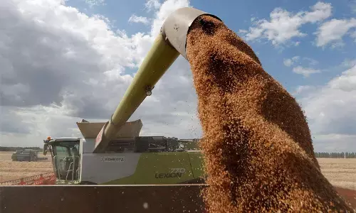 Russia sets new record for grain exports inspite sanction Russia sets new record for grain exports inspite sanction