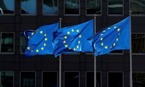 2023 Elections: Why Nigerians should ignore EU report – U.S associate professor