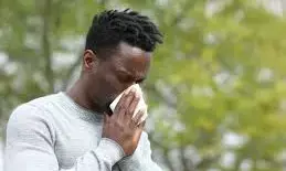 Aeropalynological studies can help hay fever sufferers manage allergies – Expert