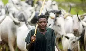 Operation rainbow denies allegation of aiding killing of herders in Plateau