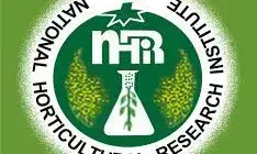 NIHORT alerts farmers on outbreak of okra new virus disease