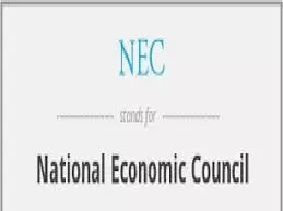 Subsidy removal: NEC proposes states-run cash transfer programmes