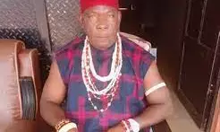 Alleged terrorism: Court to rule in ”Eze Ndigbo’s” bail application