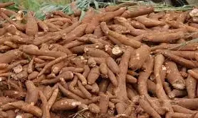 Bio-ethanol value chain ‘ll create more employment than other sectors -FG