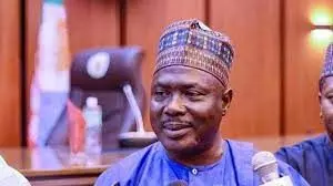 Niger APC chairman resigns