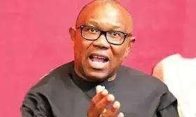 Peter Obi laments GSK’s exit from Nigeria