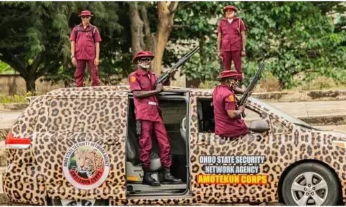 Amotekun arrests suspected cultist, burglar in Osun