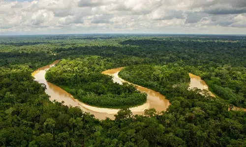 Amazon summit fails to set concrete targets to stop deforestation