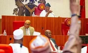 Senate unveils 71 committees with chairmanships assigned