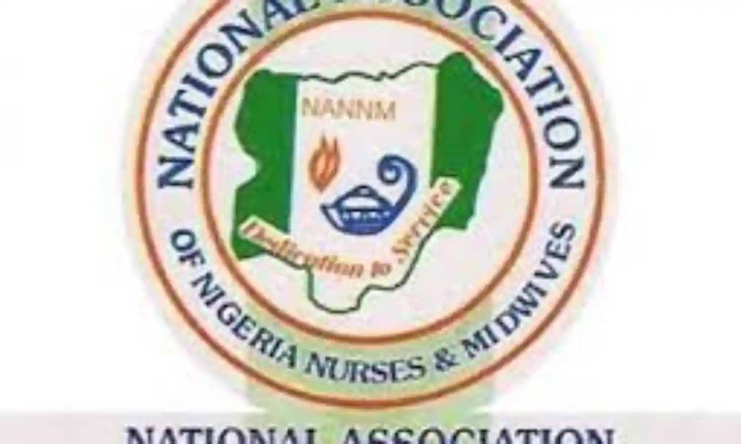 Ministerial nomination: Nurses express concern over alleged neglect