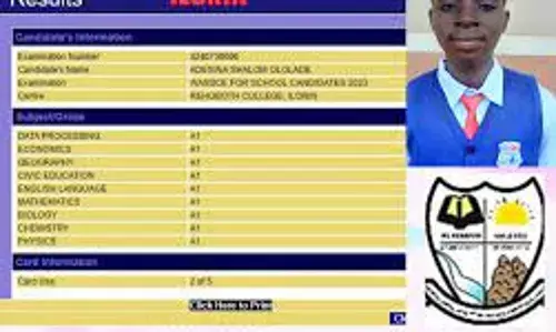 Student with 9As in WASC says school motivated him, advises governments