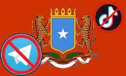 Government bans TikTok, Telegram, 1XBet over ‘horrific’ content