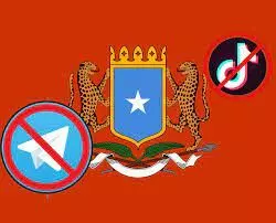 Government bans TikTok, Telegram, 1XBet over ‘horrific’ content
